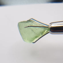 Load image into Gallery viewer, R449 Ludwigited Peridot facet rough 6.0cts