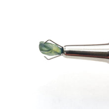 Load image into Gallery viewer, R634 Australian Sapphire facet rough 2.6cts
