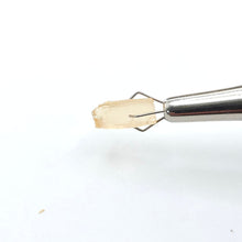 Load image into Gallery viewer, R678 Imperial Topaz facet rough 3.85cts
