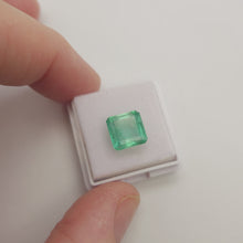 Load and play video in Gallery viewer, #204 Square cut Emerald 3.3cts
